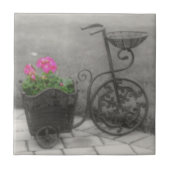 Carreau Vélo Et Fleurs Anciens En Noir Et Blanc (Devant)