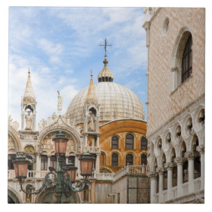 Carreau Venise, Vénétie, Italie - Des oiseaux sont perchés