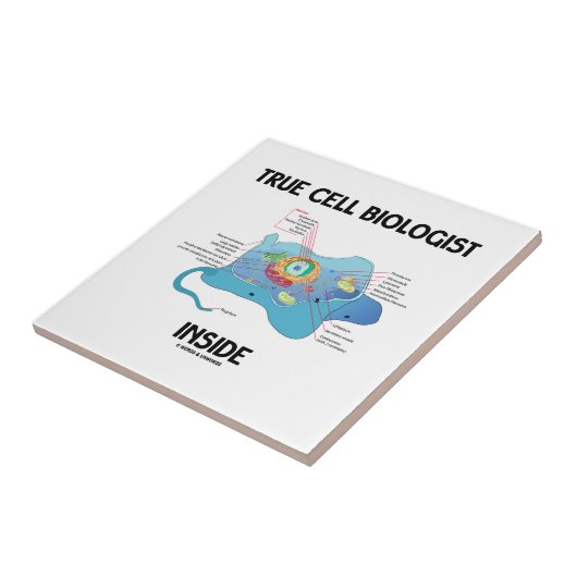 Carreau Véritable intérieur de biologiste de cellules (Côté)