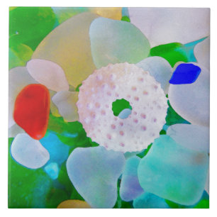 Carreau Verre de mer et oursin Shell