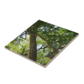 Carreau Vert de la nature de l'érable sycomore (Côté)