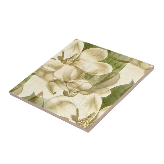 Carreau vert floral de magnolia (Côté)