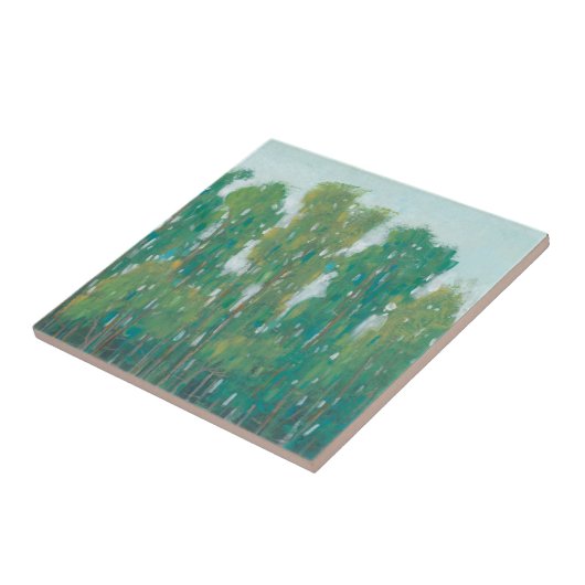 Carreau Vert forestier II (Côté)