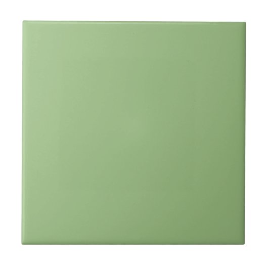 Carreau Vert Sage moderne Couleur uni (Devant)