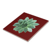 Carreau Vert Succulent Botanique Désert Rouge (Côté)
