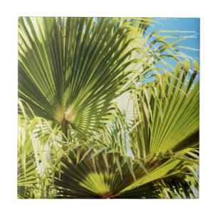 Carreau Vibes d'été Palm Tree Feuilles Pale Green
