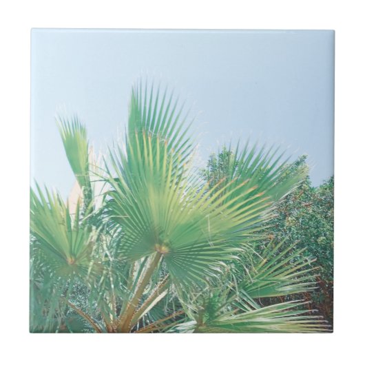 Carreau Vibes d'été Palm Tree Feuilles Pale Green (Devant)