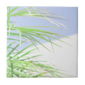 Carreau Vibes d'été Palm Tree Feuilles Pale Green Pastel (Devant)