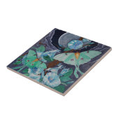 Carreau Vida de la Luna (Côté)