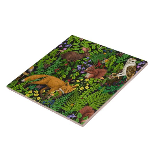 Carreau Vie forestière (Côté)