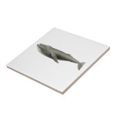 Carreau vie marine "BALEINE" TILE CÉRAMIQUE (Côté)