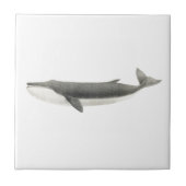 Carreau vie marine "BALEINE" TILE CÉRAMIQUE (Devant)