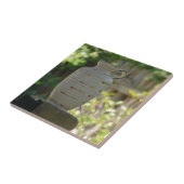 Carreau Vie morte (Côté)