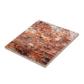 Carreau Vieille brique chic (Côté)