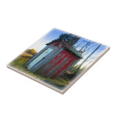 Carreau Vieille dépendance rustique de décharge (Côté)