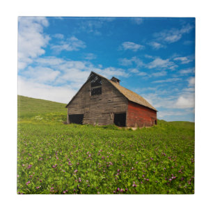 Carreau Vieille, rouge grange dans le domaine des pois