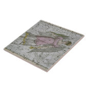 Carreau Vierge, "d'un atlas céleste", pub. en 1822 (col (Côté)