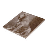 Carreau Vieux limier anglais (Côté)