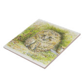 Carreau Vieux M. Prickly Pin (Hérisson) (par Beatrix Potte (Côté)