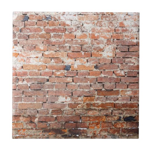 Carreau Vieux mur de briques (Devant)