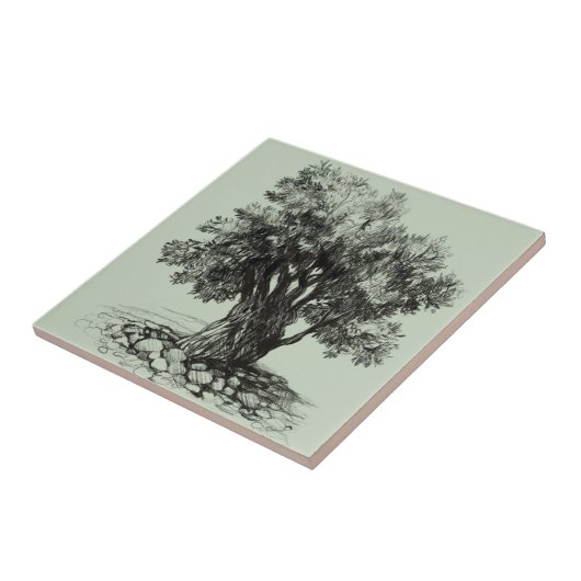 Carreau Vieux olivier (Côté)