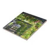 Carreau Vignes chez Villandry (Côté)