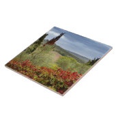 Carreau Vignoble près de Montalcino, Toscane, Italie (Côté)