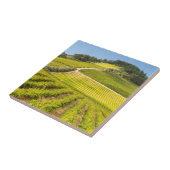 Carreau Vignoble, Stellenbosch, Cap-Occidental (Côté)