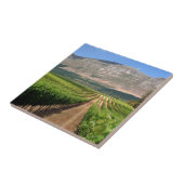 Carreau Vignobles du domaine viticole Groot Constantia (Côté)