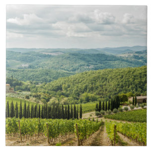 Carreau Vignobles paysages le matin dans le Chianti.
