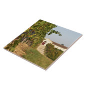 Carreau Vignobles, petites vignes de verdot et (Côté)