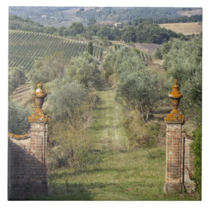 Carreau Vignobles, Toscane, Italie