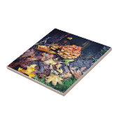 Carreau Village des champignons (Côté)