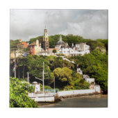 CARREAU VILLAGES DE WALES (Devant)