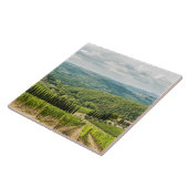 Carreau Vineyards landscapes in the morning in Chianti. (Côté)