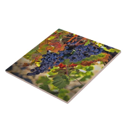 Carreau Vins et vignes d'automne Vignoble Art (Côté)