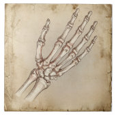 Carreau Vintage Anatomical Hand Bones Ink Drawing Sepia (Devant)