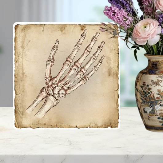 Carreau Vintage Anatomical Hand Bones Ink Drawing Sepia