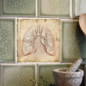 Carreau Vintage Anatomical Lungs Illustration Sketch