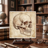 Carreau Vintage Anatomical Skull Ink Drawing Sepia