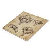 Carreau Vintage Antique Anatomical Vertebrae Illustration (Côté)