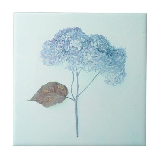 Carreau Vintage Antique Blue Hydrangea Pays Floral (Devant)