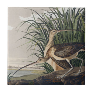 Carreau Vintage Audubon Courlis à long bec Art ornithologi