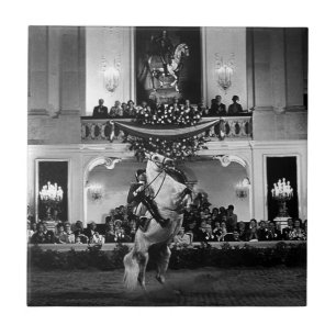 Carreau Vintage Autriche Vienne Courbette espagnole