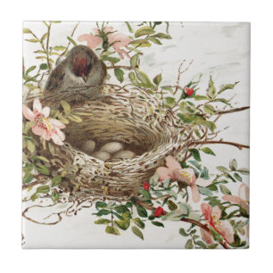 Carreau Vintage Bird in Nest Poster de animal