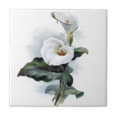 Carreau Vintage calla lily (Devant)