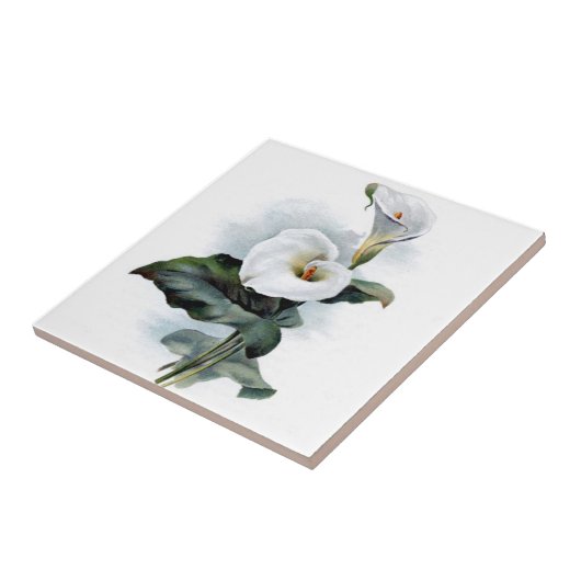 Carreau Vintage calla lily (Côté)