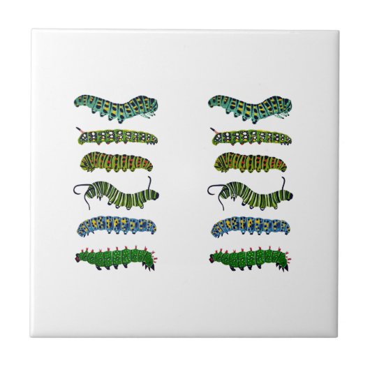 Carreau Vintage Caterpillar Illustration Mug  (Devant)