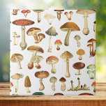 Carreau Vintage Champignons Motif sans soudure<br><div class="desc">Ramenez la beauté de la nature à la maison avec notre tuile en céramique Motif Vintage Mushroom. Une touche rustique d'élégance de charme pour votre espace !</div>