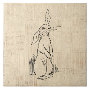 Carreau Vintage Cute Bunny Rabbit Art Script Arrière - pl